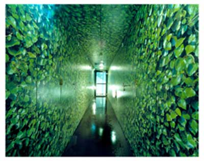 Zum Vergrern bitte klicken!